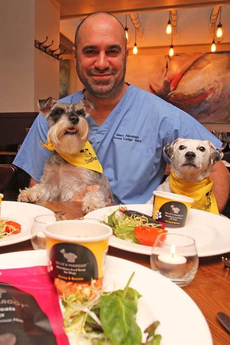 Pet Friendly Dinner with Dogs