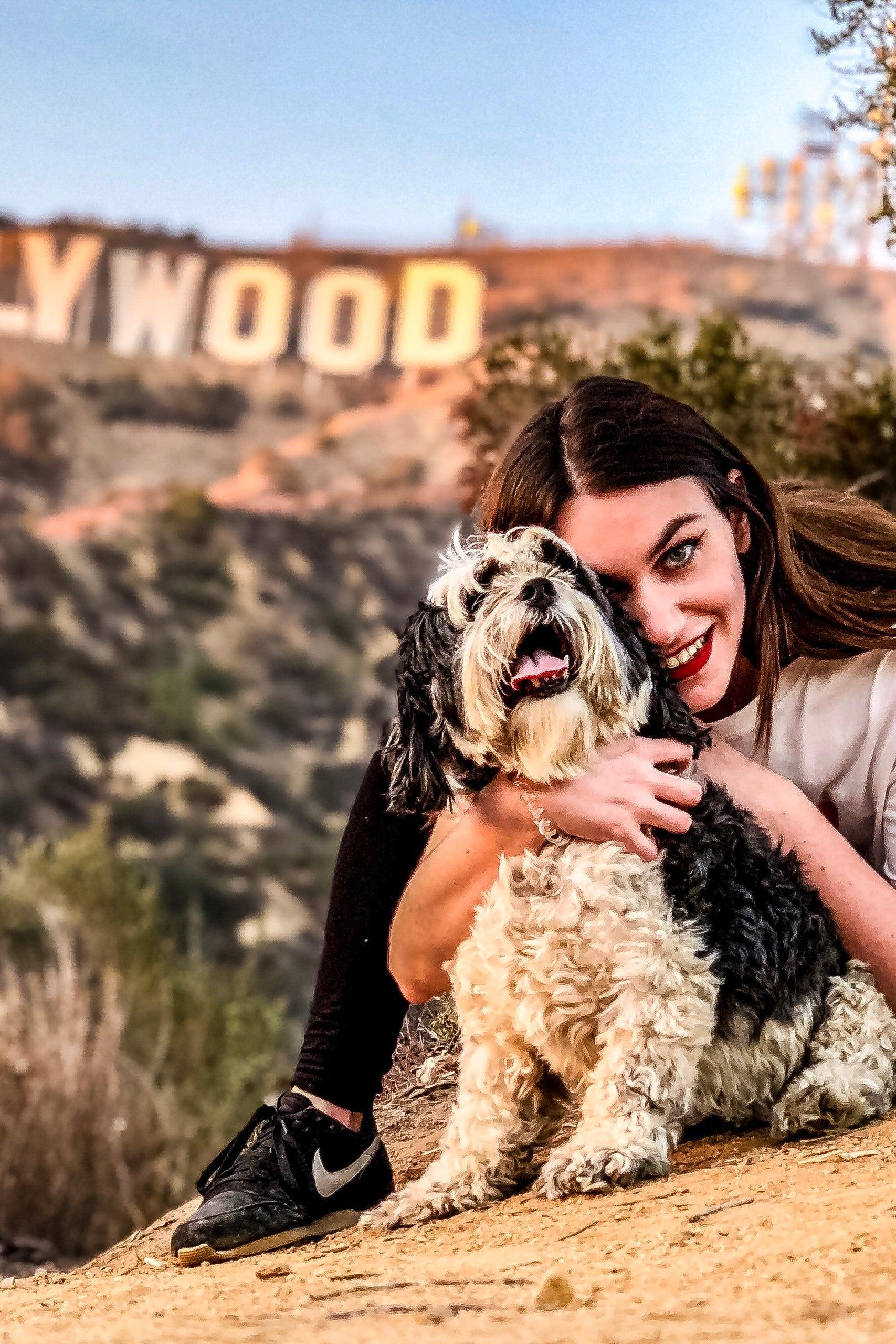 Pet Friendly Hollywood Sign Sunset to Night Adventure