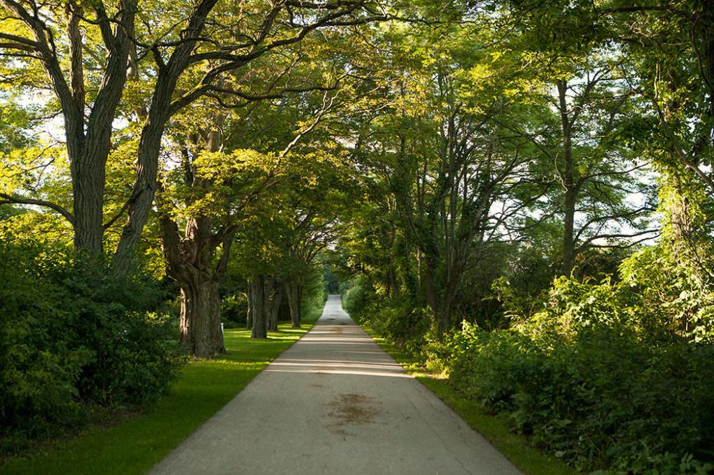 Mackinac Island State Park mackinac-island-state-park