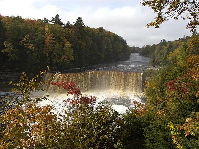 se permiten perros en el parque estatal tahquamenon falls