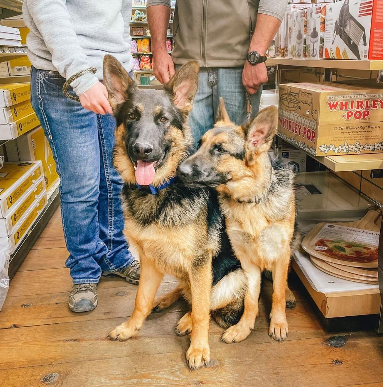Pet Friendly JAX Lafayette Outdoor Gear