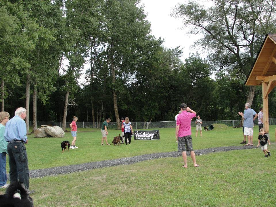 Pet Friendly Waterbury Unleashed Dog Park