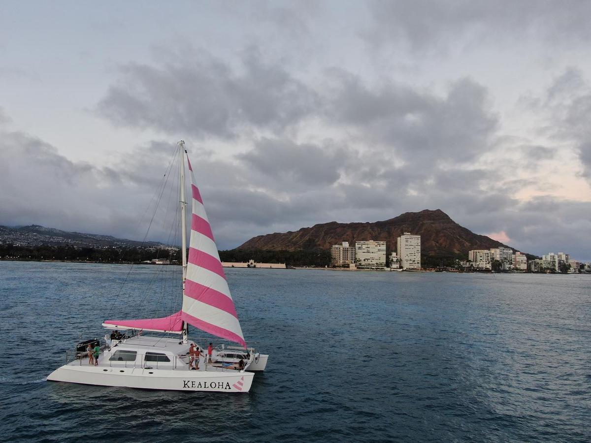 【pink hawaii】 Pink Hawaii Warriors 20