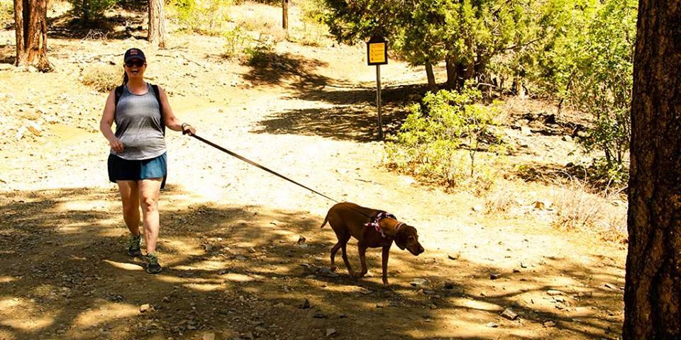 Best hiking trails for dogs near me hot sale