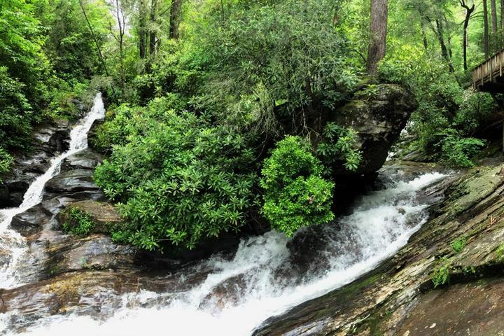 Pet Friendly Dukes Creek Falls