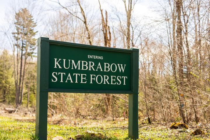 Pet Friendly Kumbrabow State Forest