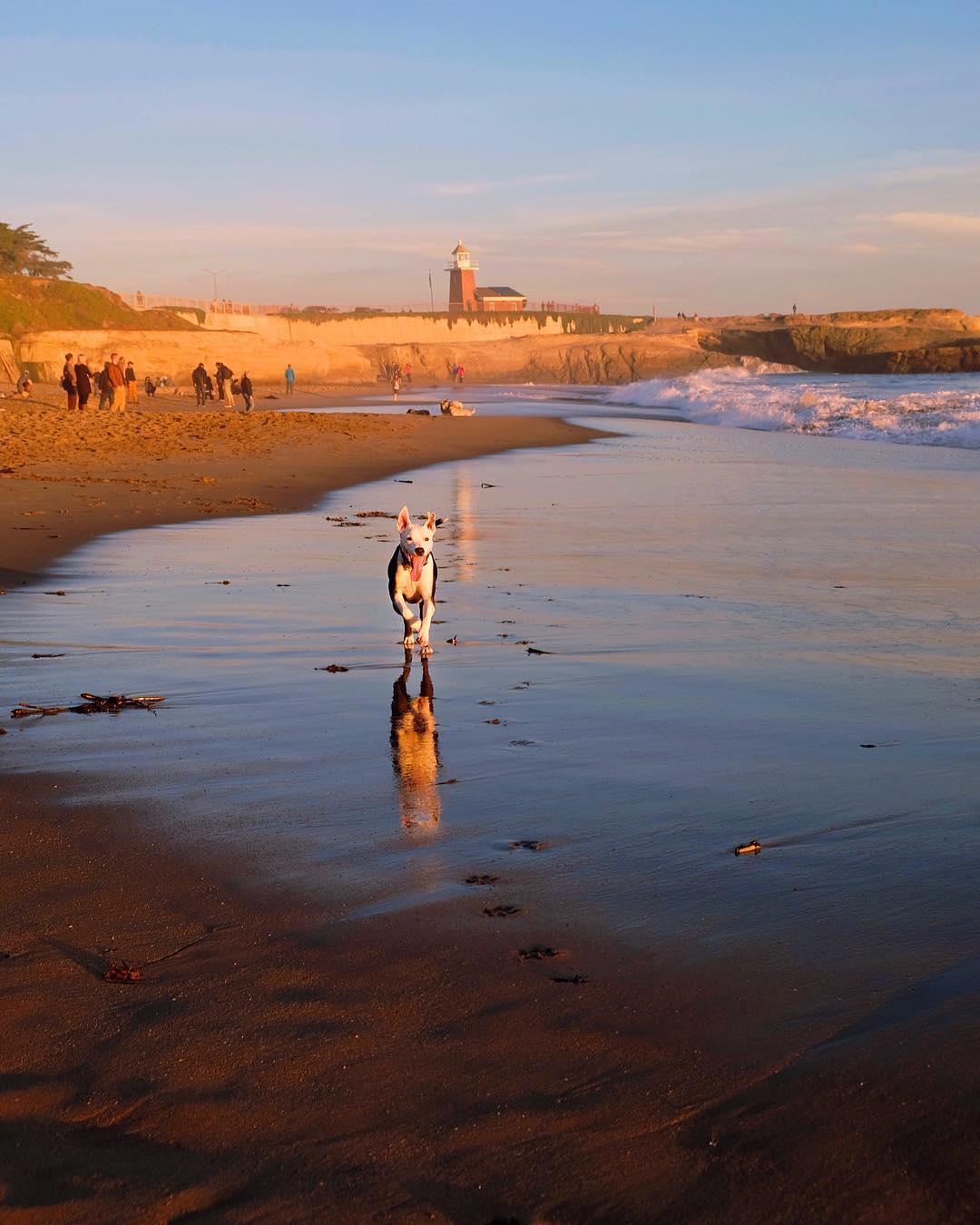 Its Beach Santa Cruz