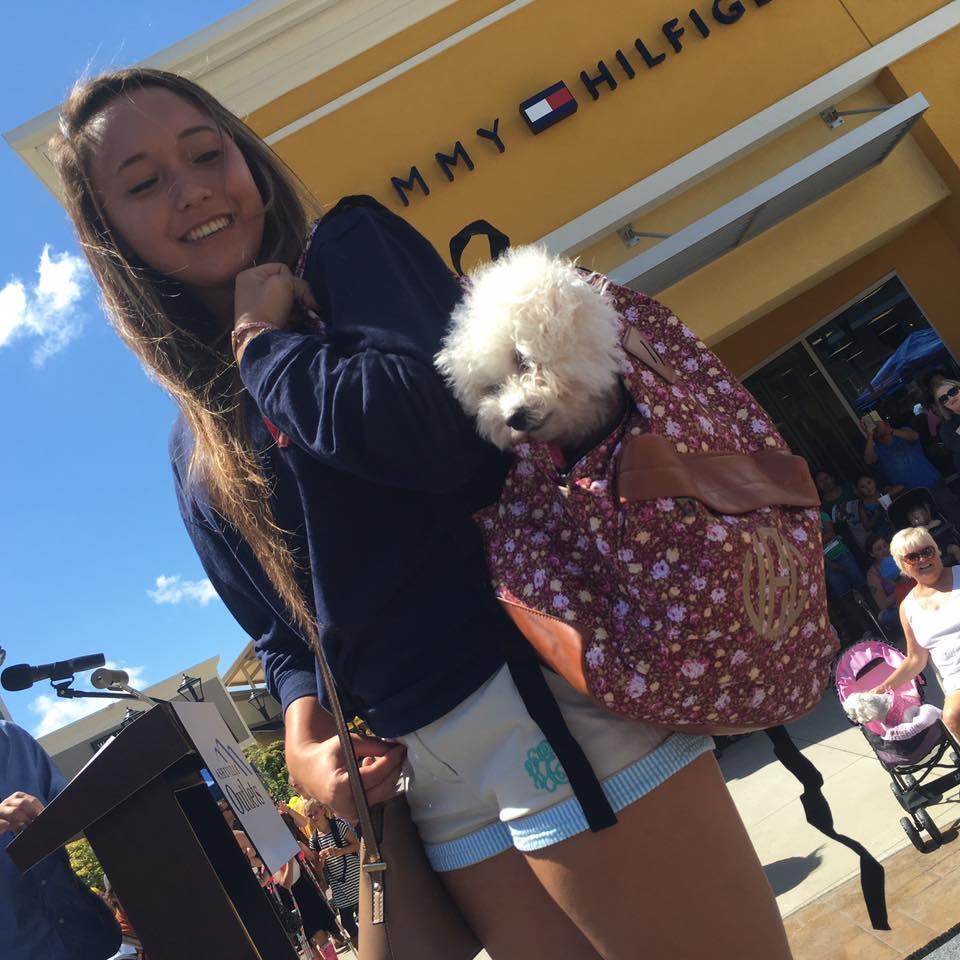 Dog Friendly Activities in Asheville Nc: Explore Together