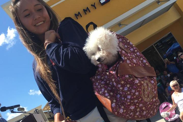 Dog Friendly Activities in Asheville Nc: Explore Together