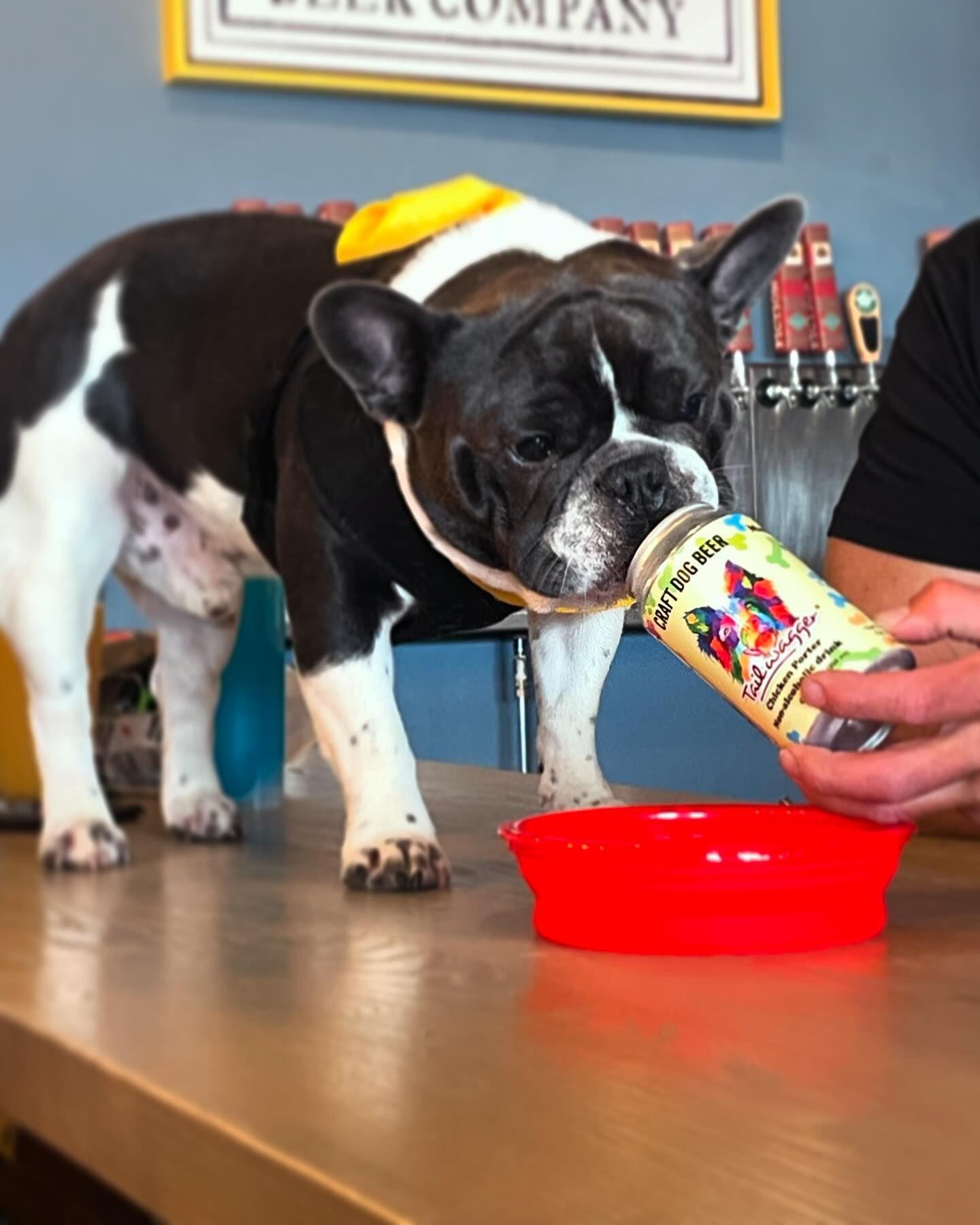 Pet Friendly Fiction Beer Company Parker