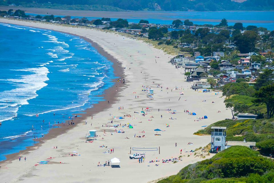 Is Stinson Beach Dog Friendly? A Comprehensive Guide for Pet Owners