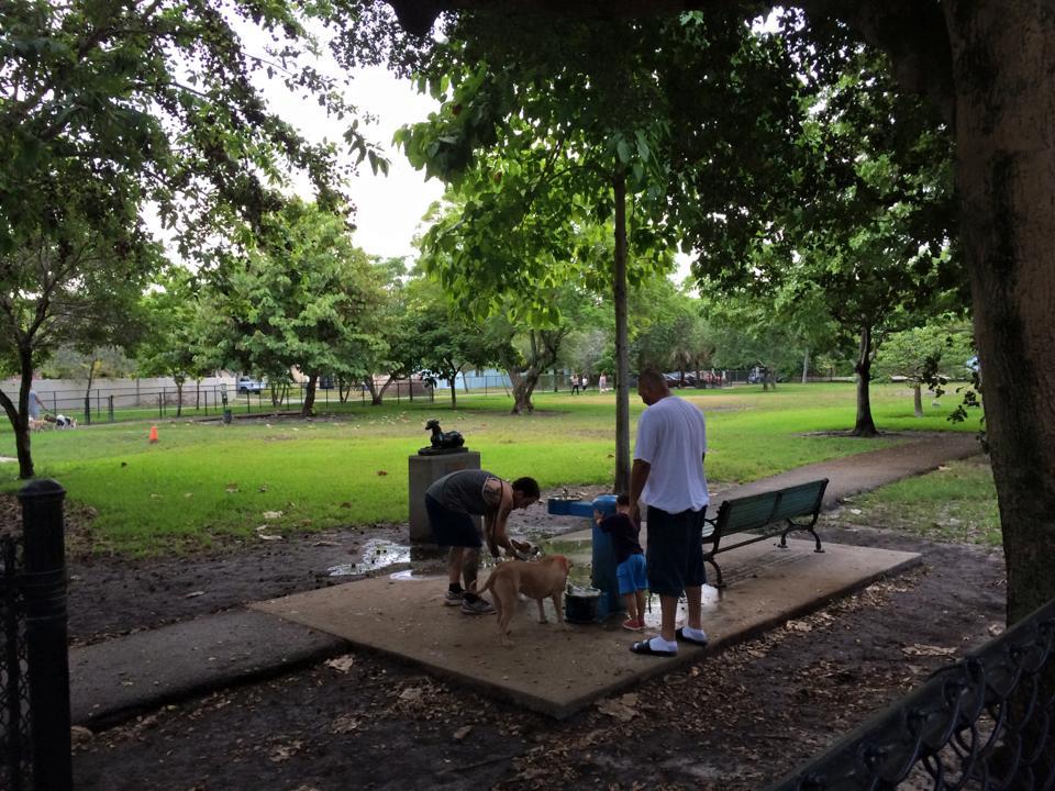 Poinciana Community Park