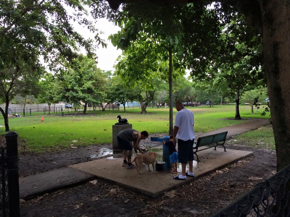 Pet Friendly Poinciana Neighborhood Dog Park