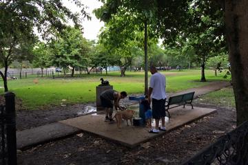Poinciana Community Park