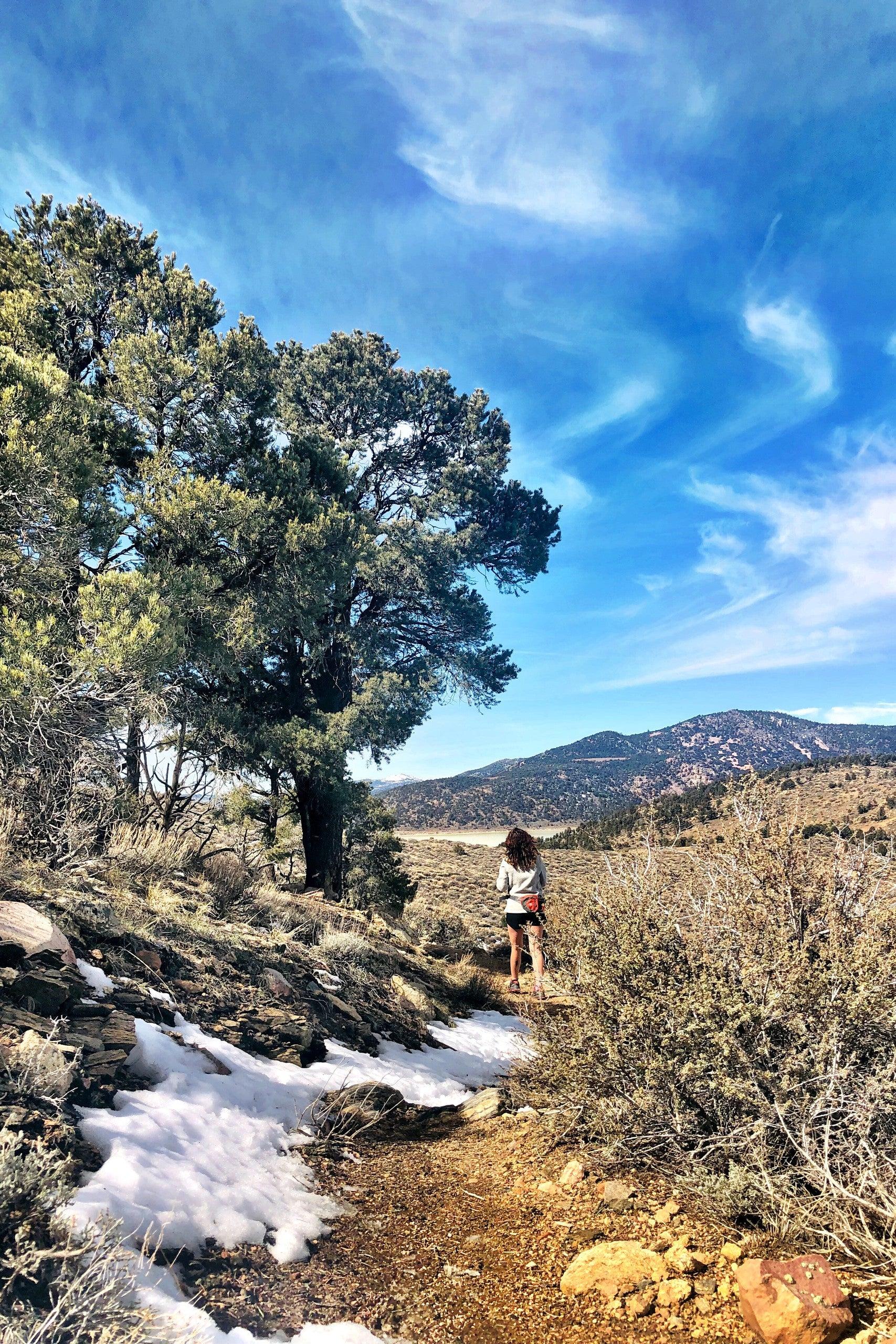 Pet Friendly Hike with a local to see Big Bear's Wild Burros