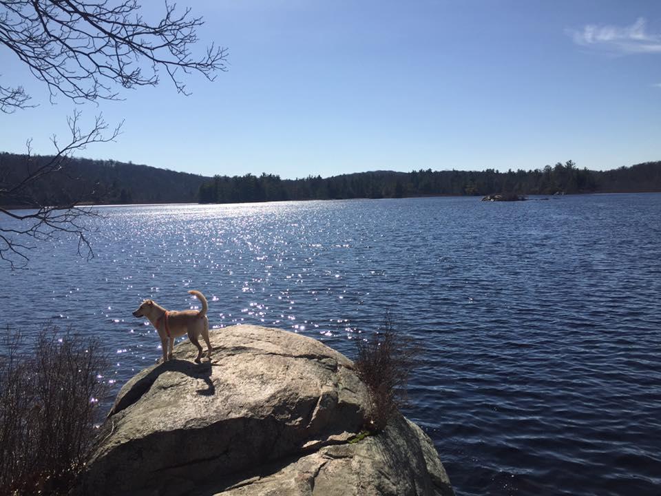 Appalachian trail harriman state cheap park