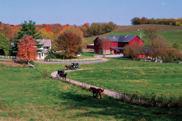 Pet Friendly Yoder's Amish Home