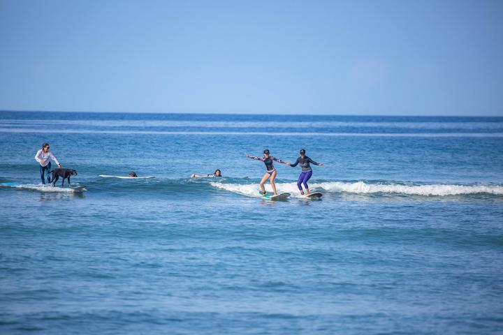 Pet Friendly Maui Surfer Girls