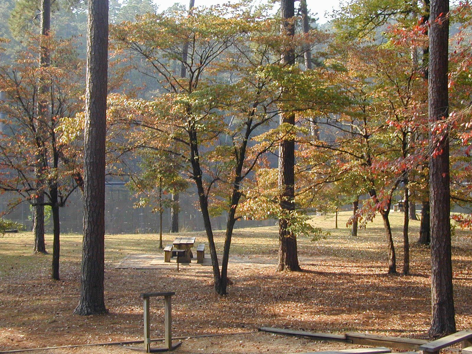 Pet Friendly Homochitto National Forest