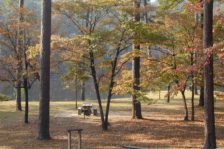 Pet Friendly Homochitto National Forest