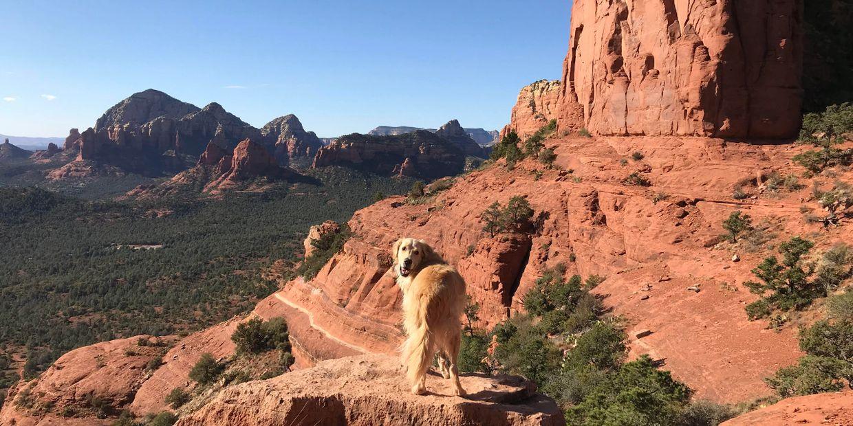Pet Friendly Trail Lovers Excursions