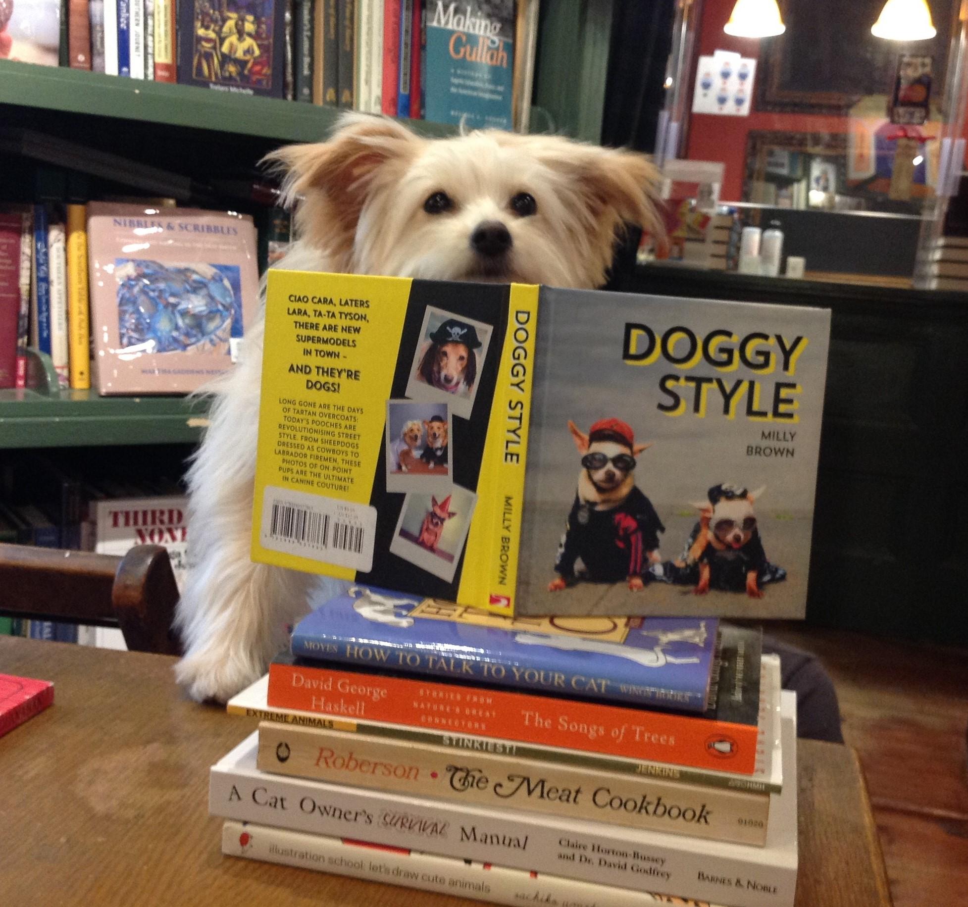 Pet Friendly The Book Lady Bookstore