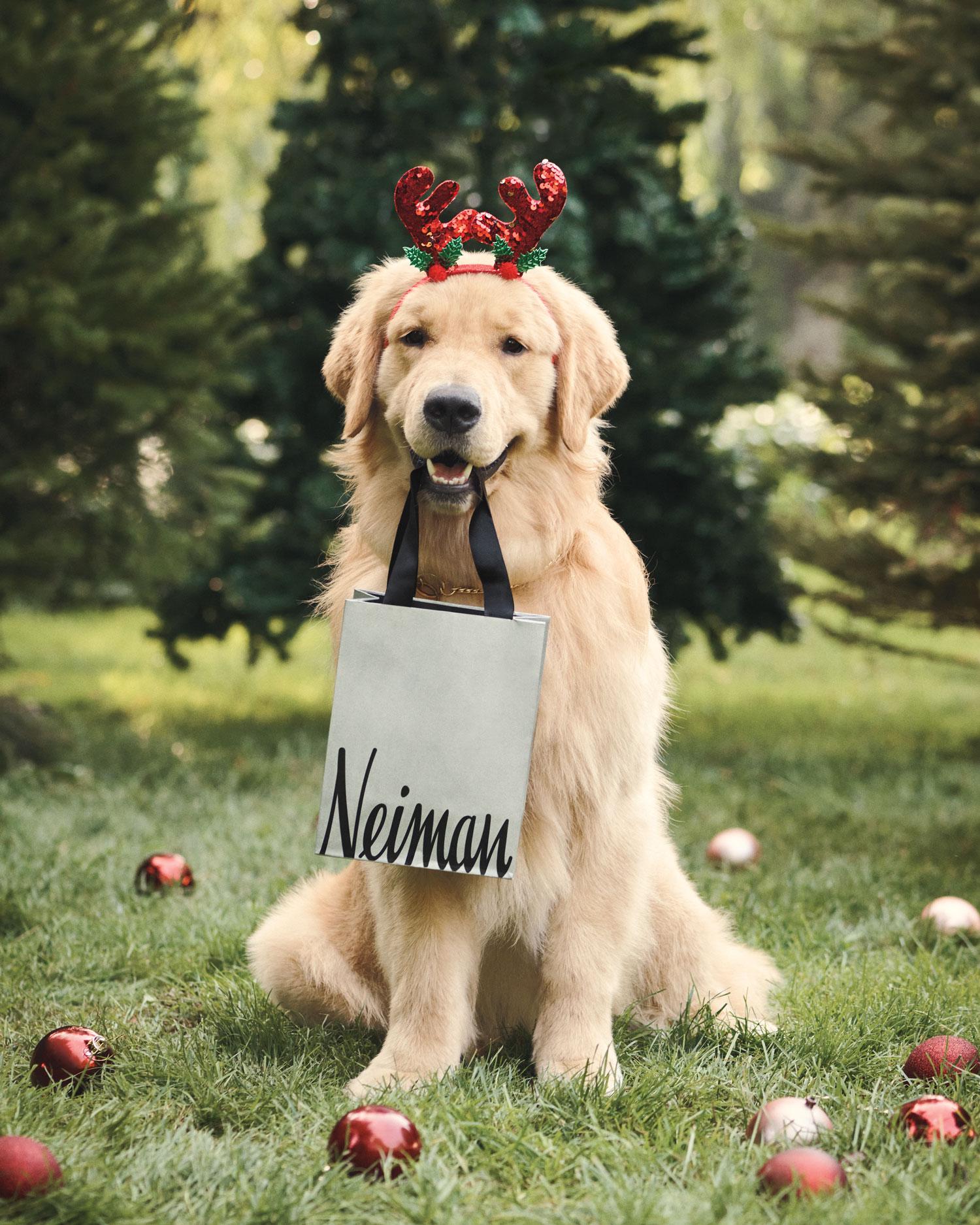 Pet Friendly Neiman Marcus