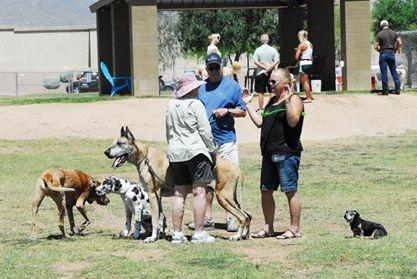 Off Leash Dog Parks In Carefree Az Bringfido