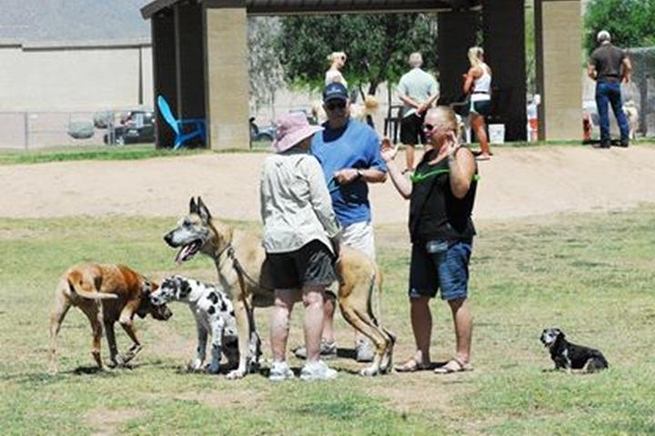Pet Friendly Dog Park at Desert Vista Park