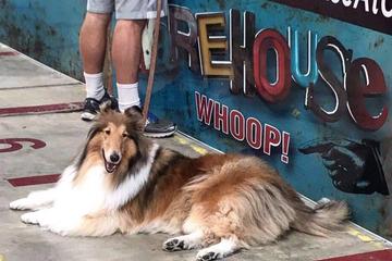 The Warehouse At C C Creations