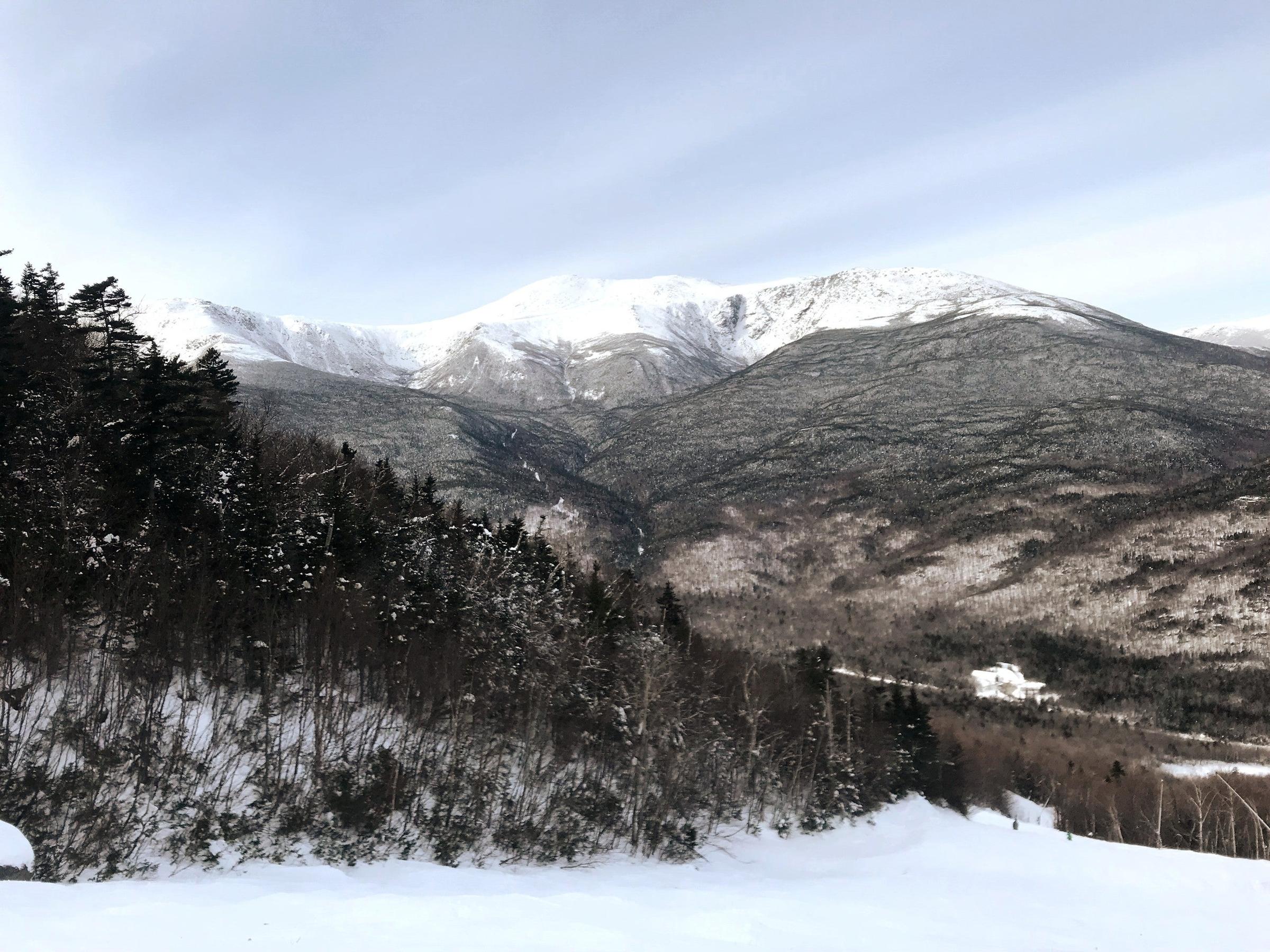 Pet Friendly Snow Shoeing and Winter Hiking in the White Mountains