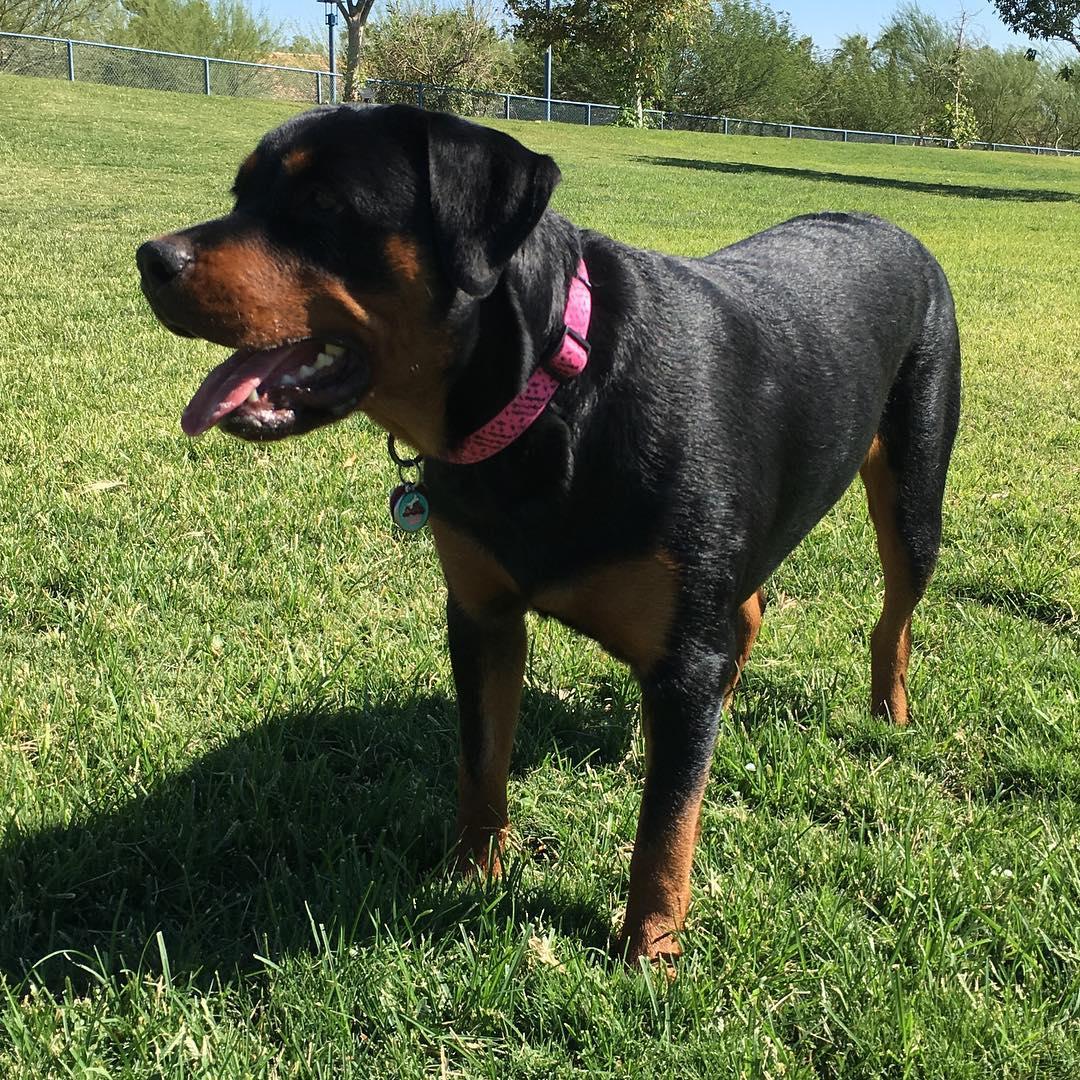 2775_32641.jpg?size=slide&