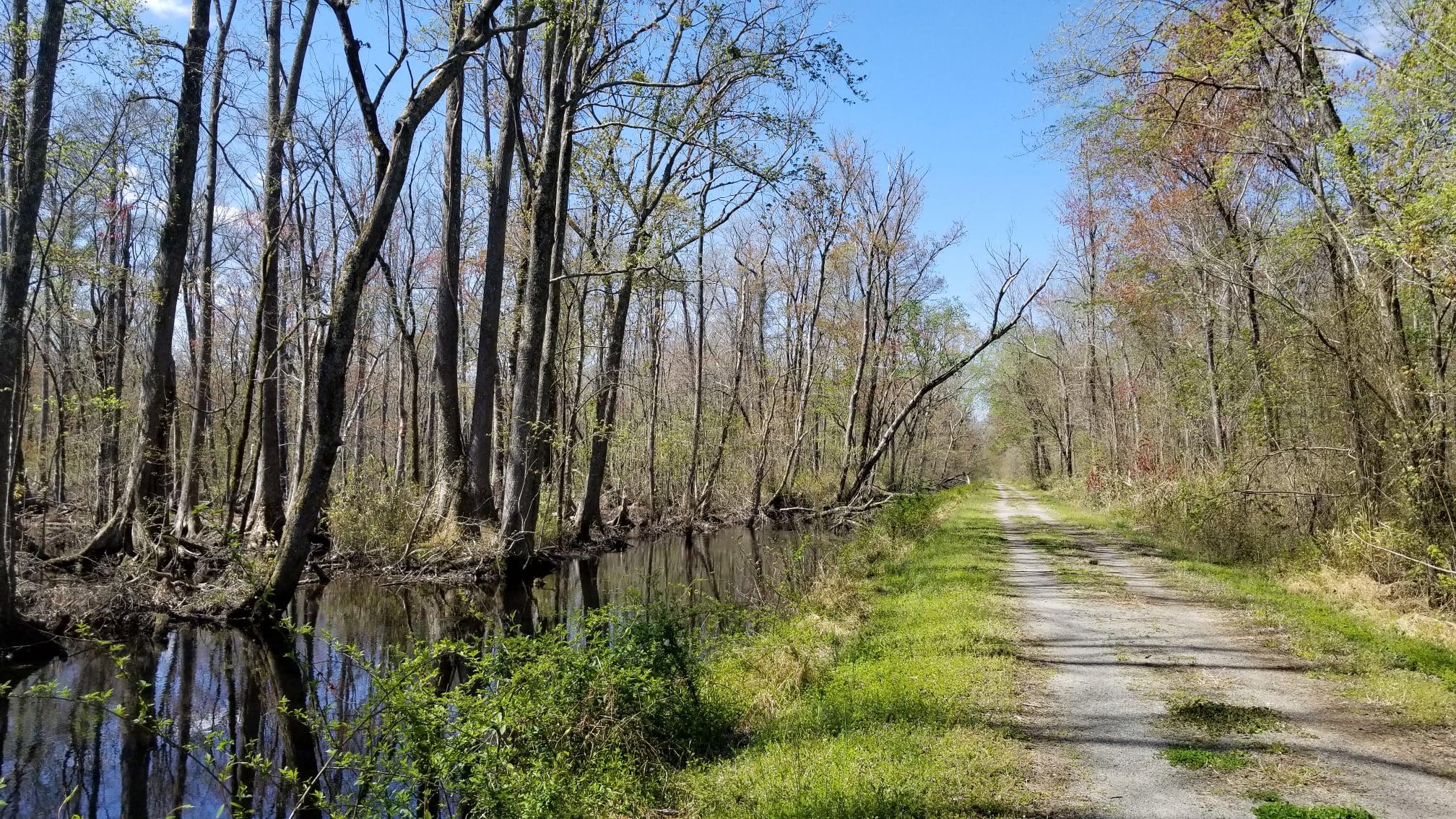 Pet Friendly Great Dismal Swamp National Wildlife Refuge