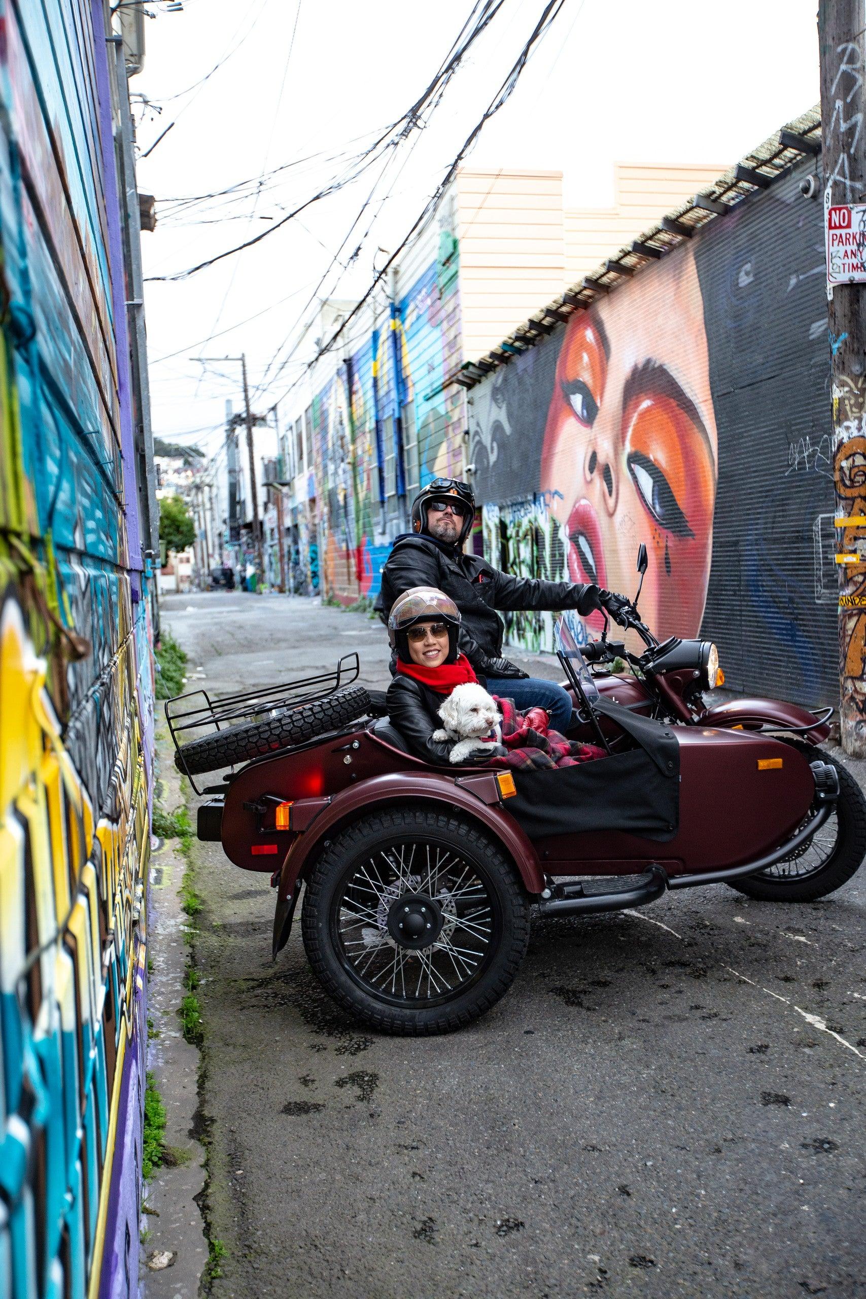 Pet Friendly Rides By Me Classic Sidecar Tours