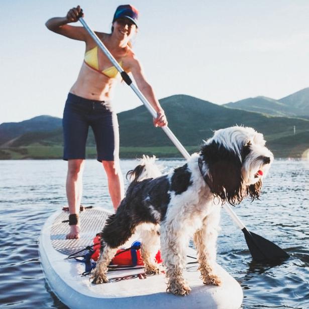 Pet Friendly Lake Powell Paddleboards and Kayaks