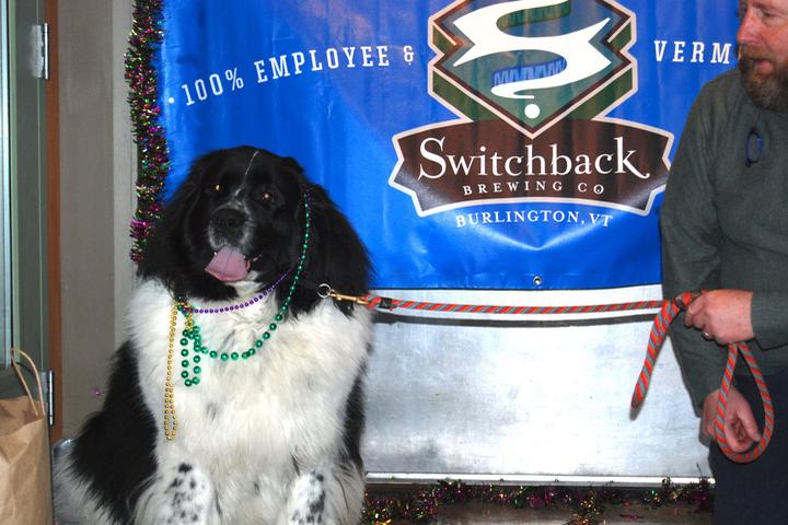 Pet Friendly Switchback Brewing Co.