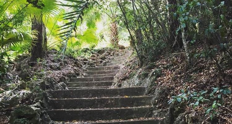 Ravine Gardens State Park