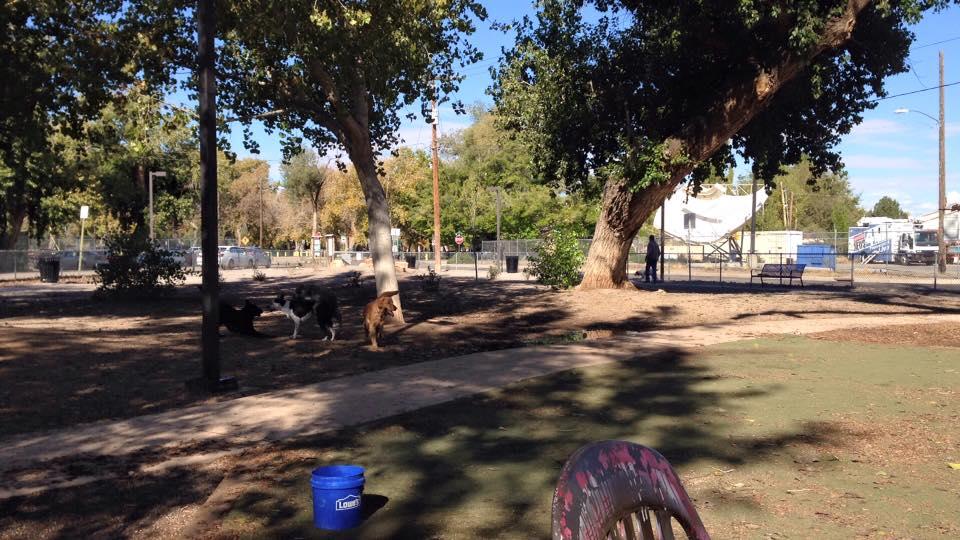 Off Leash Dog Parks In Albuquerque Nm Bringfido