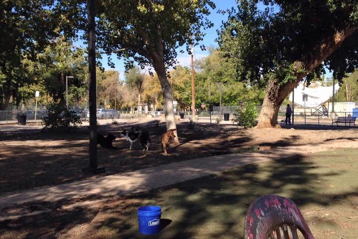 Off Leash Dog Parks In Albuquerque Nm Bringfido