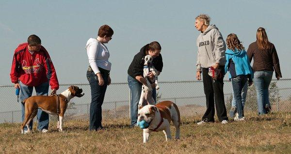 Off Leash Dog Parks In Wichita Ks Bringfido