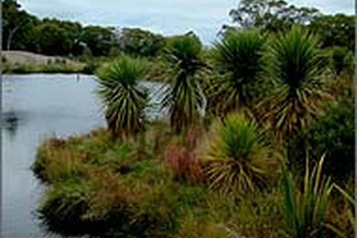 Off Leash Dog Parks In Australia The South Pacific Bringfido