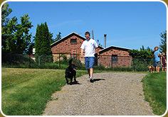 Dog park in Nampa