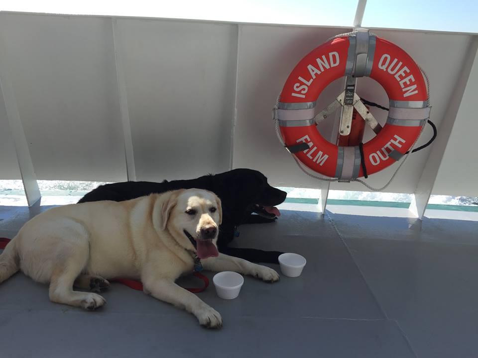 Pet Friendly Island Queen Ferry