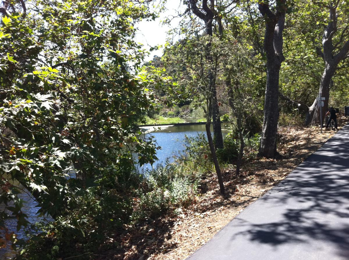 Pet Friendly Bob Jones City to the Sea Trail