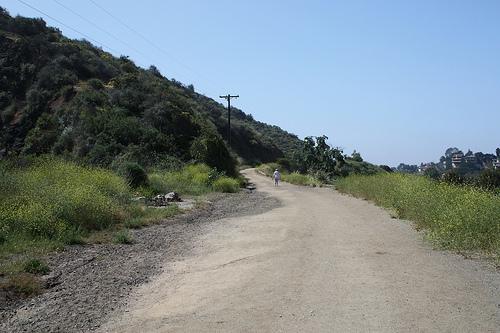Pet Friendly Bronson Canyon Trail at Griffith Park