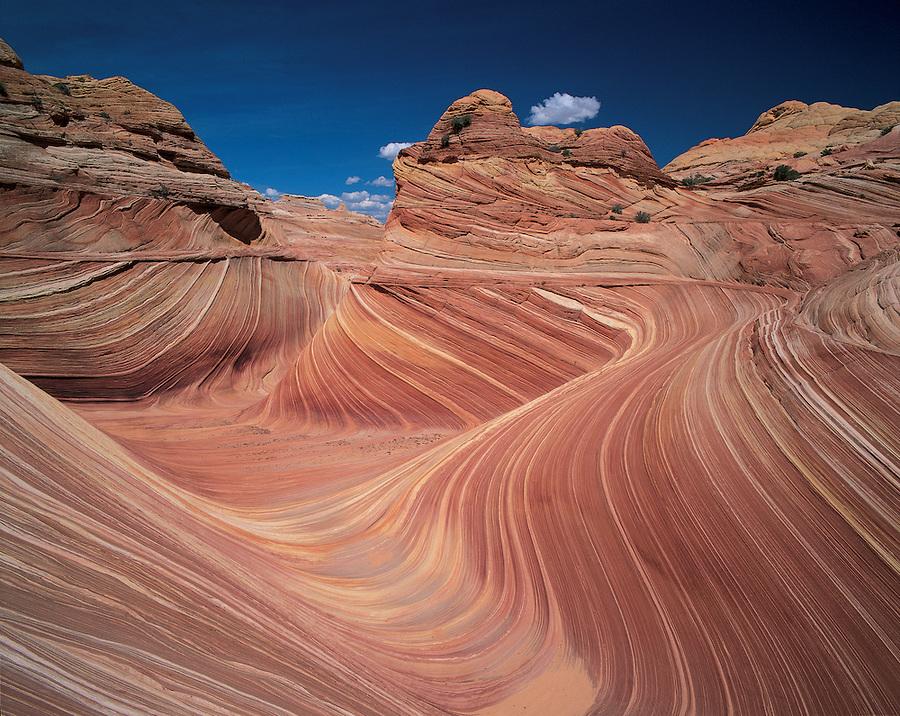 are dogs allowed in paria canyon