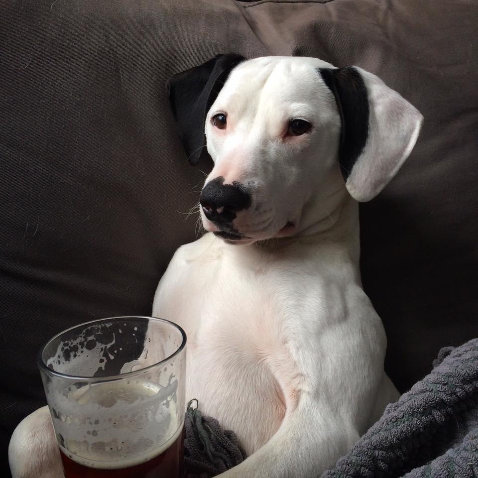 Brueprint Brewing Company