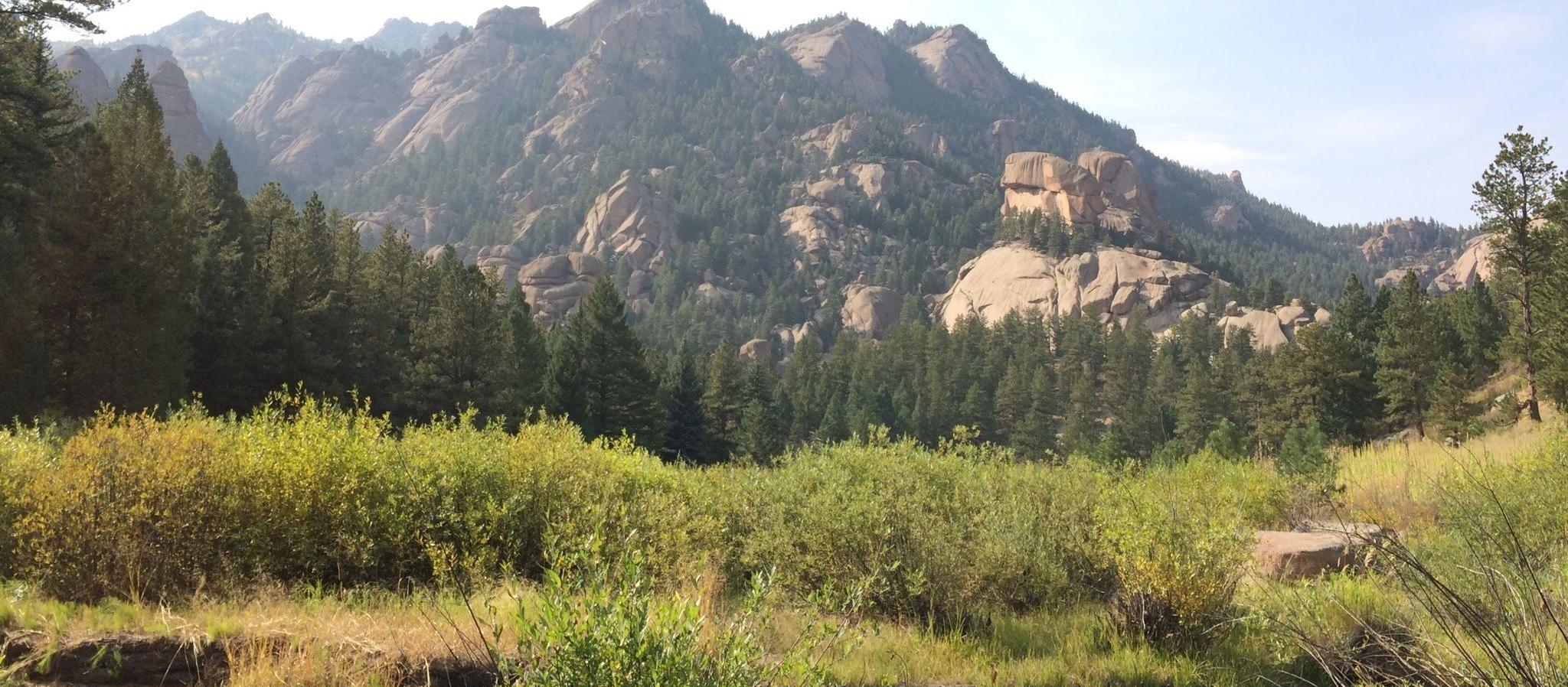 Picture of Goose Creek Trail, a dog friendly attraction in Lake George. Picture of Goose Creek Trail, a dog friendly attraction in Lake George.