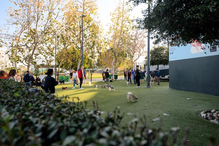 Pet Friendly Dog Park at West Hollywood Park