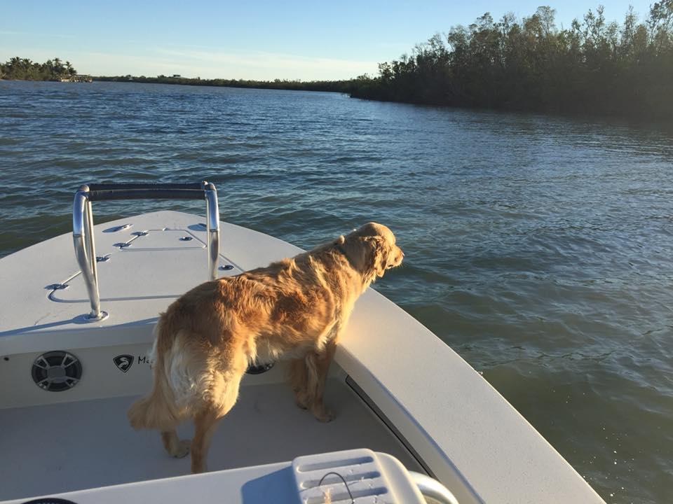 Pet Friendly SW Florida Boat Tours